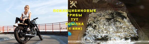 амф Алексин