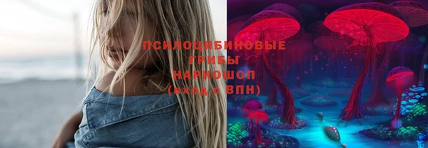 амф Алексин