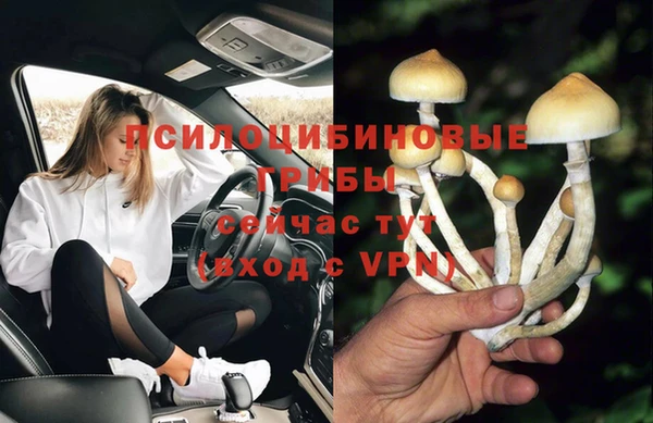 а пвп мука Алзамай