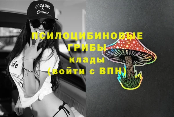 амф Алексин