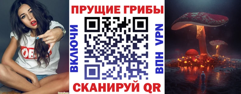 купить наркотик  Белоозёрский  Галлюциногенные грибы MAGIC MUSHROOMS 
